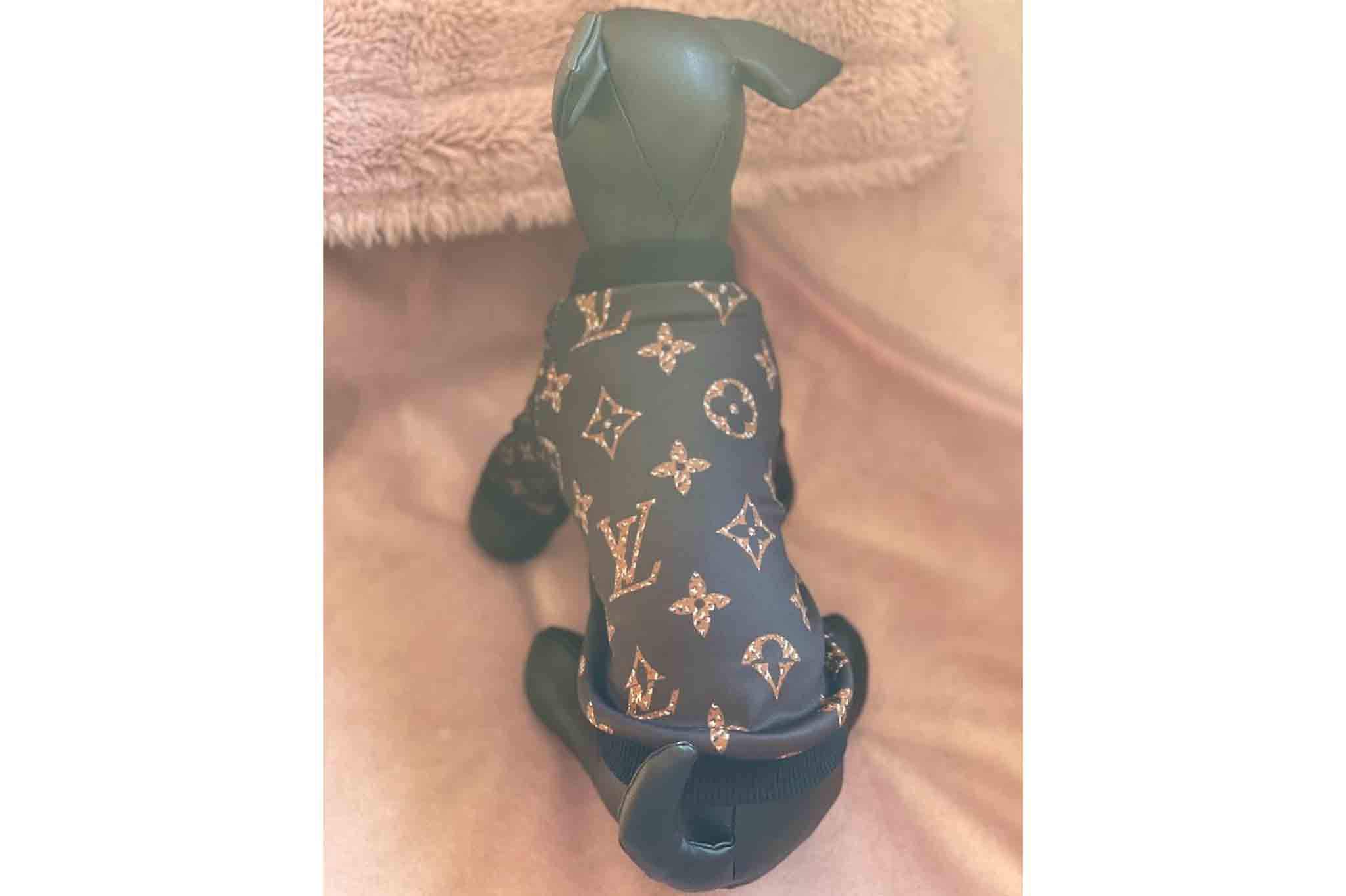 Red louis Vuitton harness for dogs